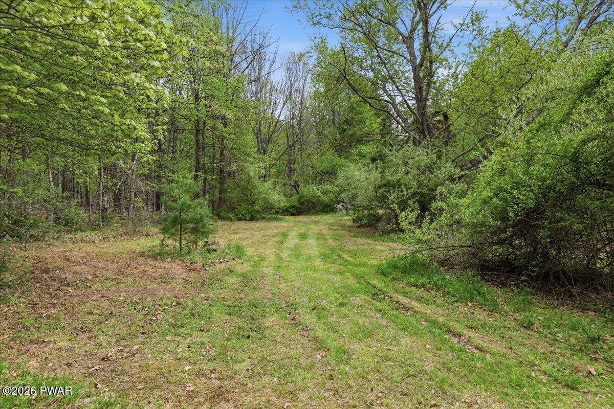 103 Forever Green Road Lakeville, PA 18438 - Photo 28 of 179