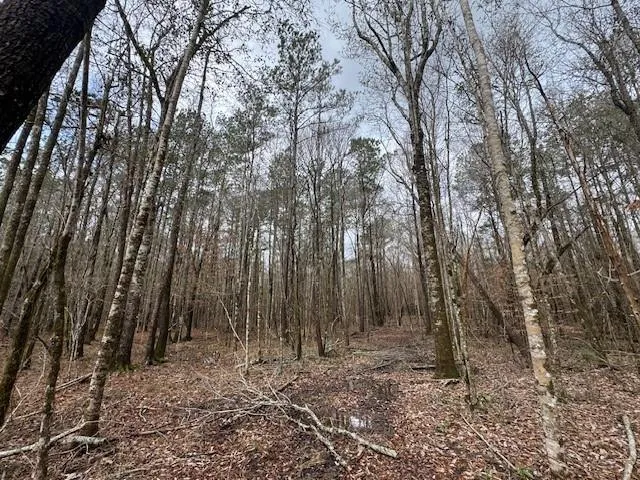 $137,500 | 1365 Mickle Smith Trail Southwest, Bogue Chitto, MS 39629