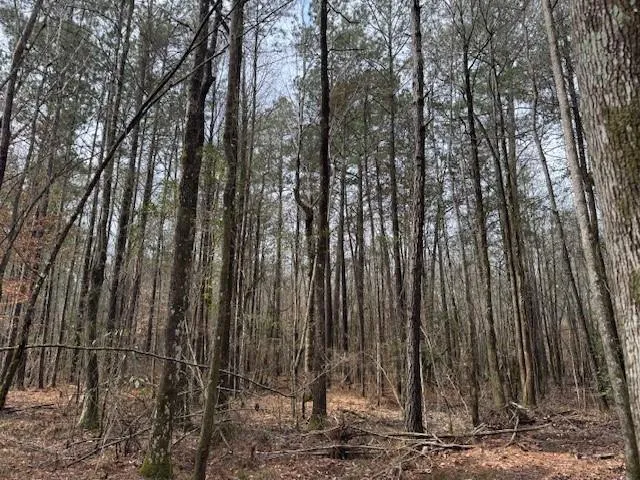 $137,500 | 1365 Mickle Smith Trail Southwest, Bogue Chitto, MS 39629