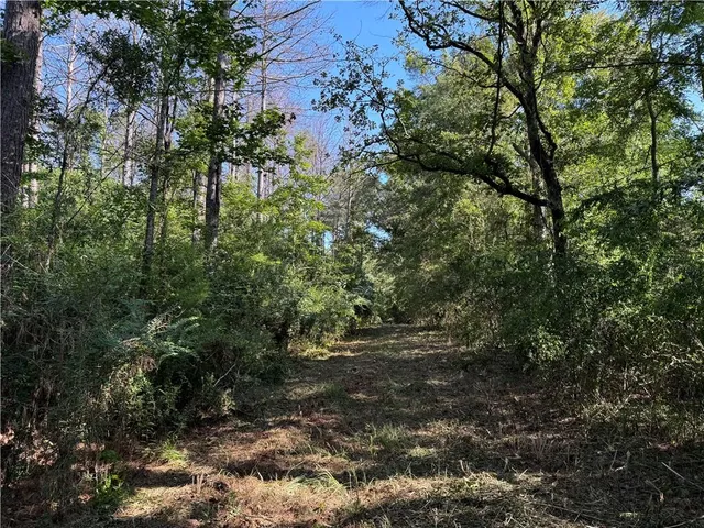 $137,500 | 1365 Mickle Smith Trail Southwest, Bogue Chitto, MS 39629