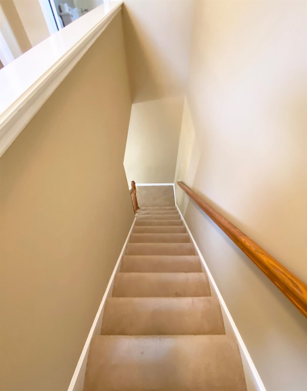 1413 Ritchie Court Lexington, KY 40503 - Photo 15 of 17 Photo 15