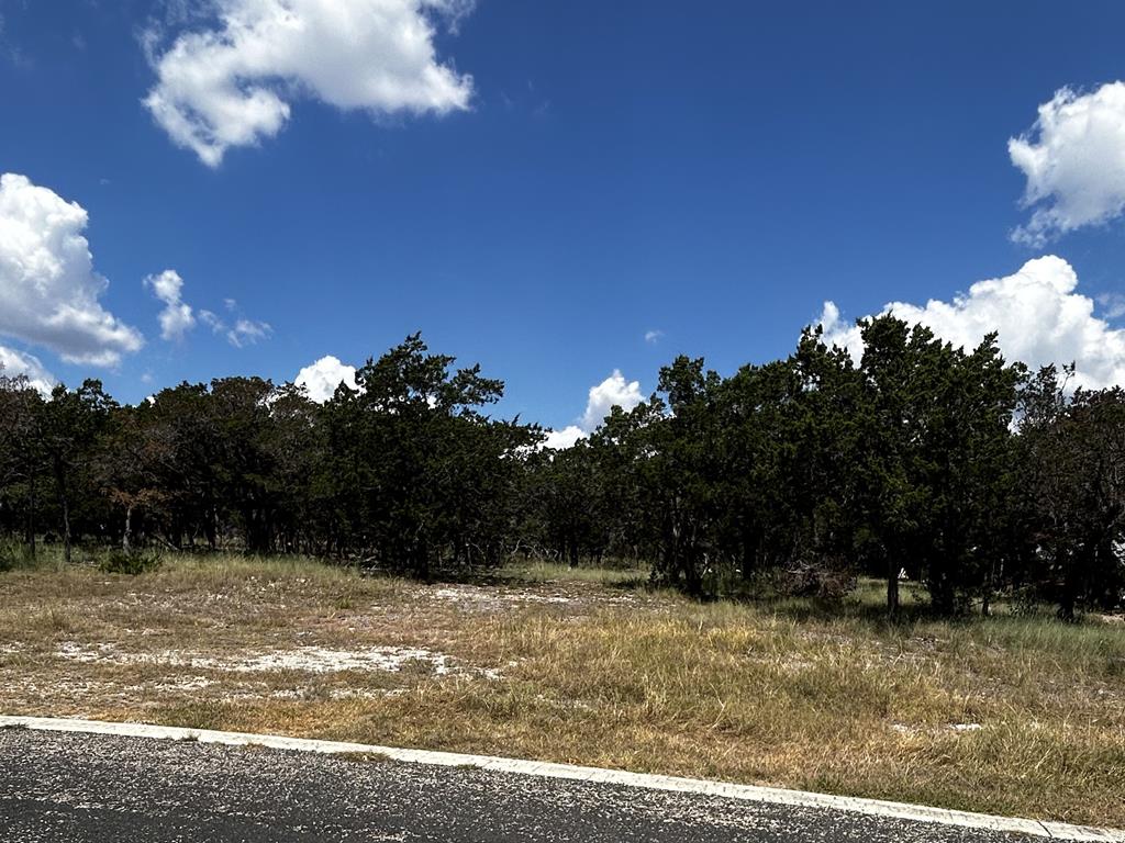 146 Concepcion Mission Kerrville, TX 78028 - Photo 1 of 4 Main View