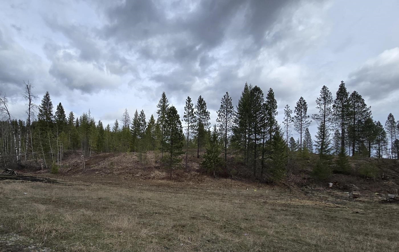 3356 North Caffel Road Chewelah, WA 99109 - Photo 47 of 49