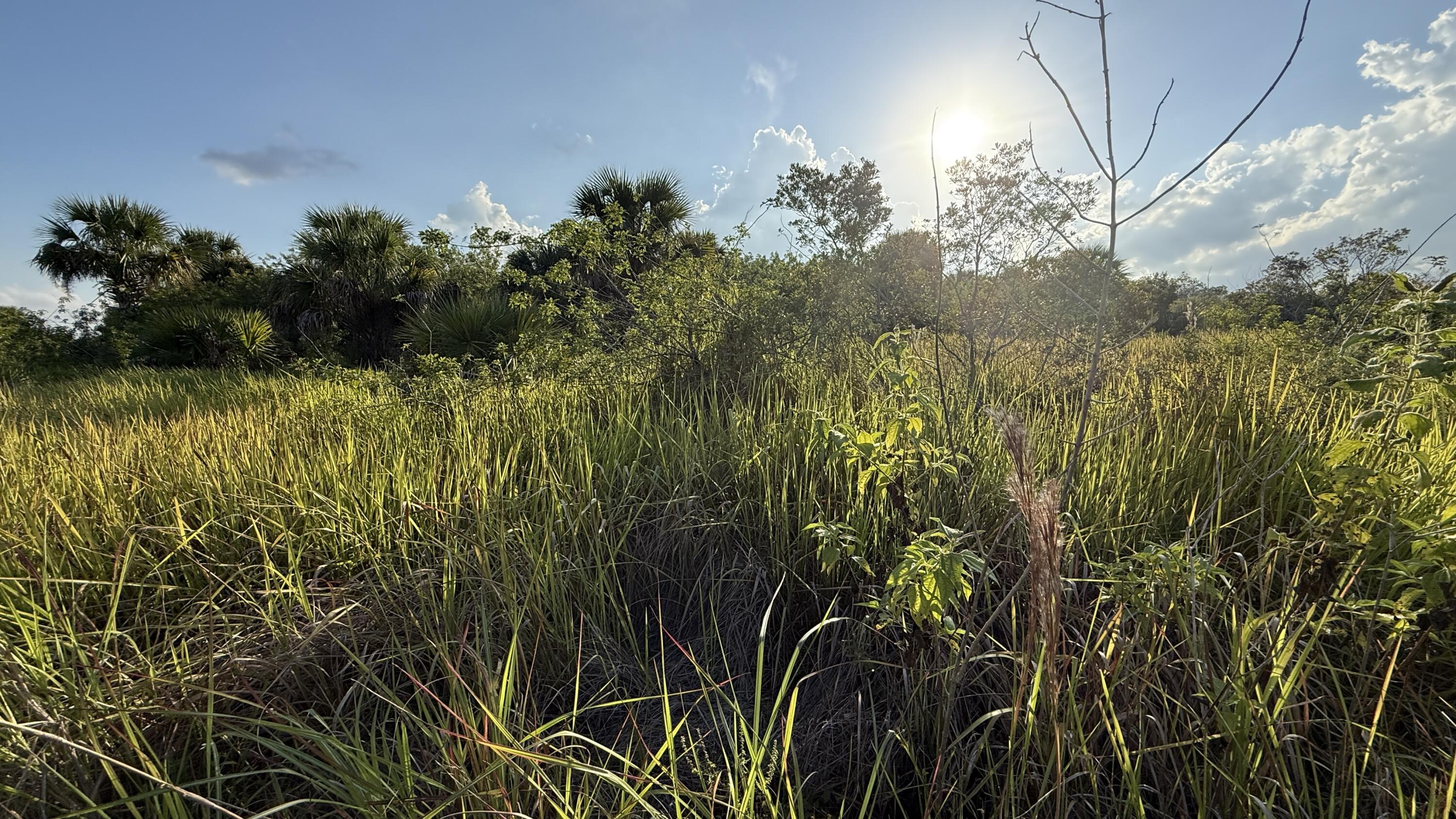 Tbd Burney Street Southwest Melbourne, FL 32904 - Photo 11 of 11