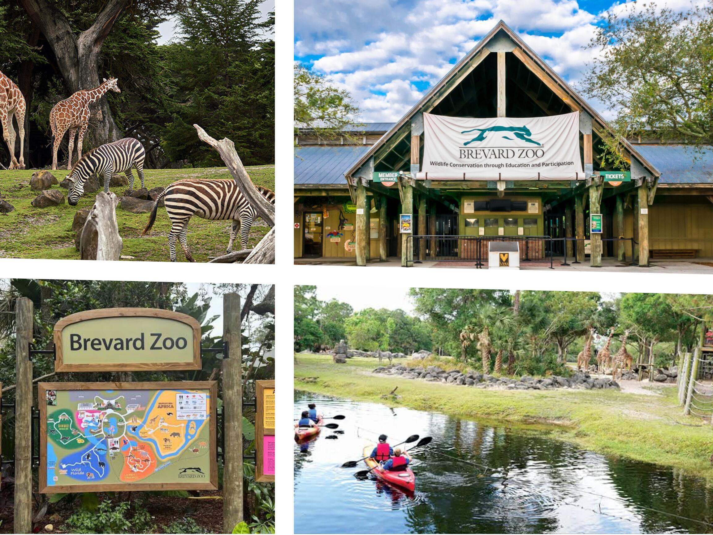 Tbd Burney Street Southwest Melbourne, FL 32904 - Photo 7 of 11