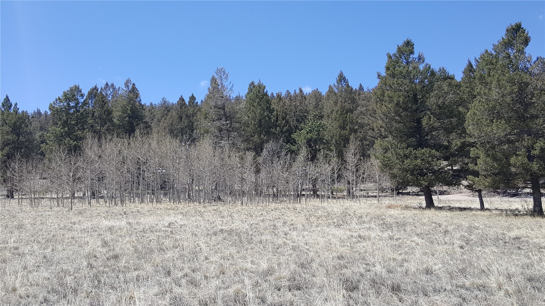 Lot 131 Redhill Road Fairplay, CO 80440 - Photo 21 of 34 Gallery Image 21