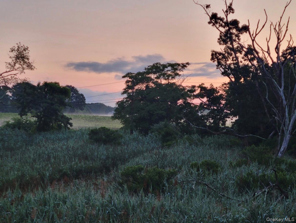540 Conklin Road Mattituck, NY 11952 - Photo 18 of 23