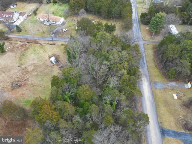 a close up of a tree in a yard