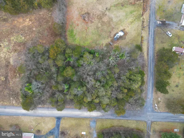a view of a yard with potted plants