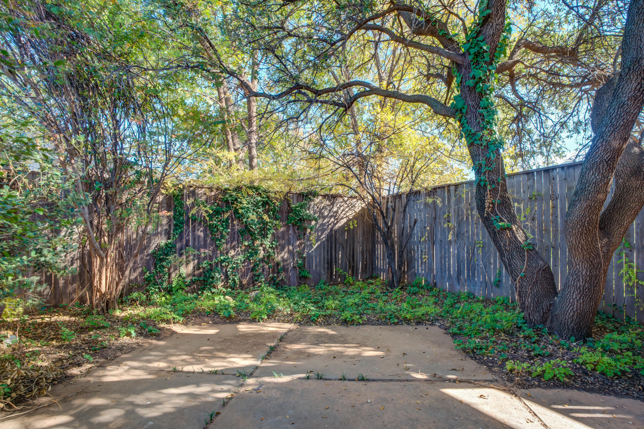 4629 88th Street Lubbock, TX 79424 - Photo 59 of 60 a backyard of a house with lots of green space