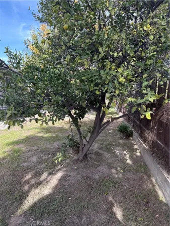 a view of outdoor space with trees all around