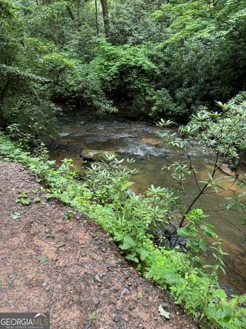 Lot 2 Kells Ridge Ellijay, GA 30540 - Photo 5 of 6