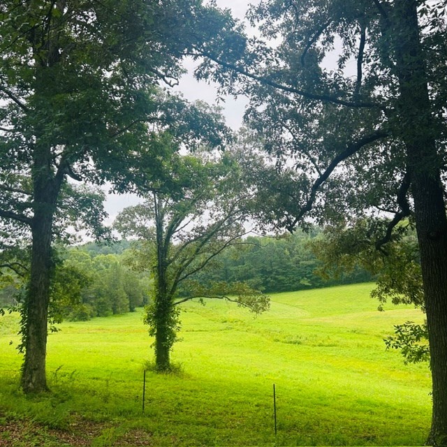 1030 Stones Road Camden, TN 38320 - Photo 20 of 54 Gallery Image 20