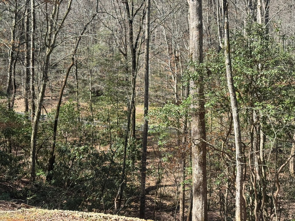 1640 Panther Top Road Murphy, NC 28906 - Photo 9 of 26 Gallery Image 9