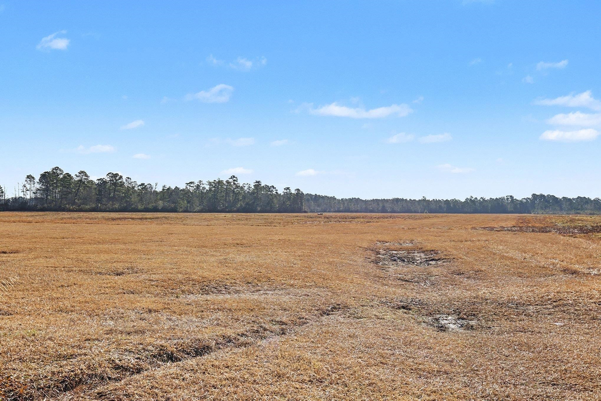 Tbd 87-acres Tbd 87-acres Airport Road Loris, SC 29569 - Photo 12 of 20 View of yard featuring a rural view
