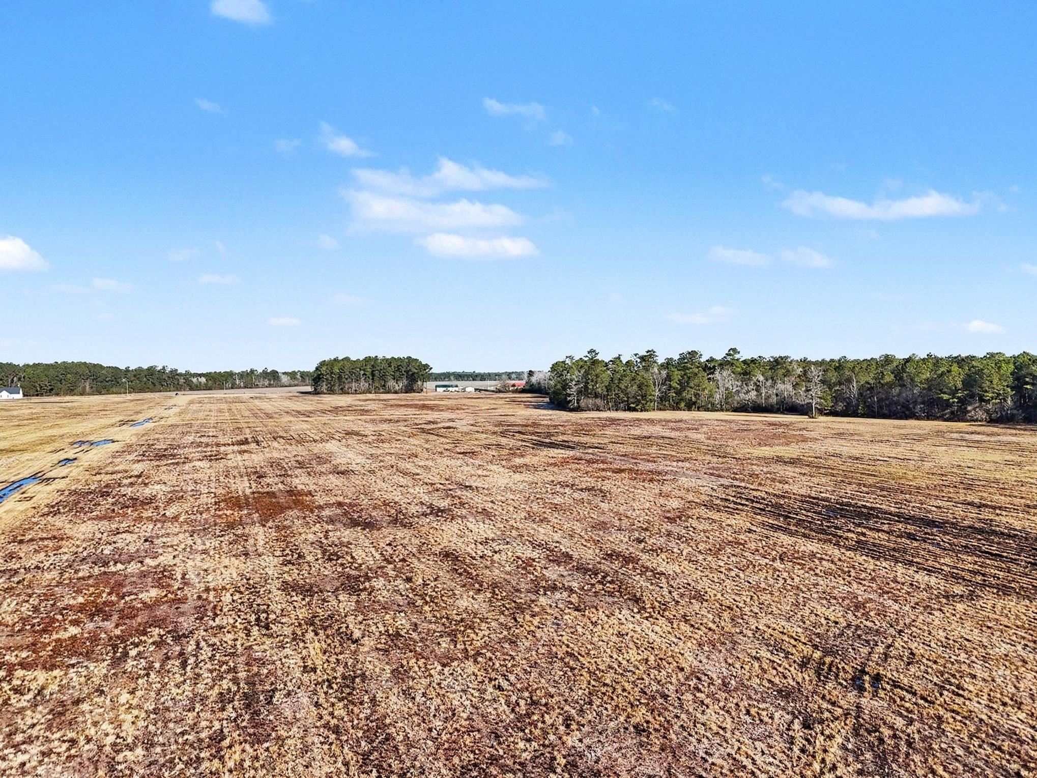Tbd 87-acres Tbd 87-acres Airport Road Loris, SC 29569 - Photo 13 of 20 View of yard with a view of countryside