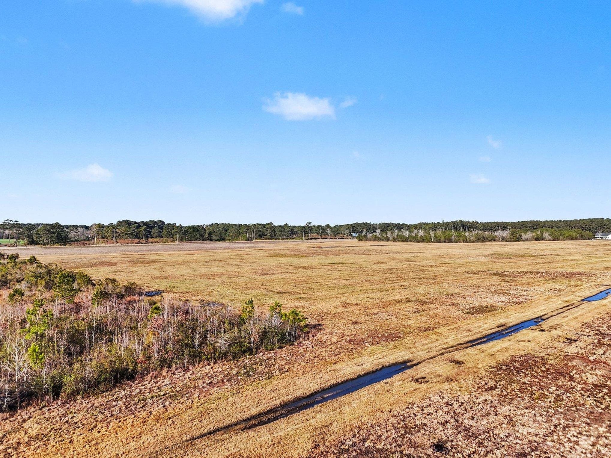 Tbd 87-acres Tbd 87-acres Airport Road Loris, SC 29569 - Photo 14 of 20 View of yard with a view of countryside