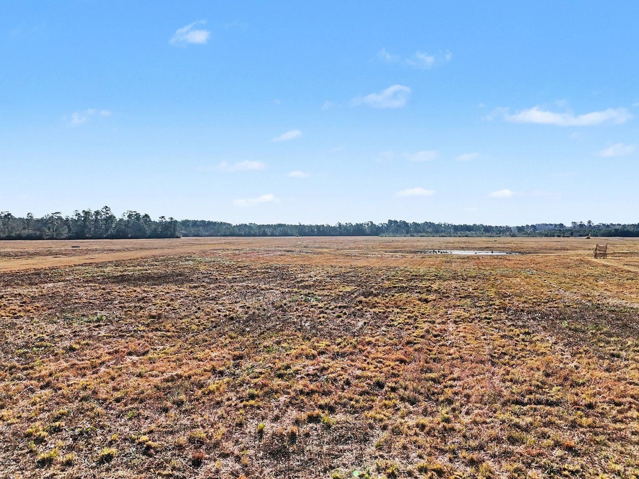 Tbd 87-acres Tbd 87-acres Airport Road Loris, SC 29569 - Photo 16 of 20 View of yard featuring a view of rural / pastoral area