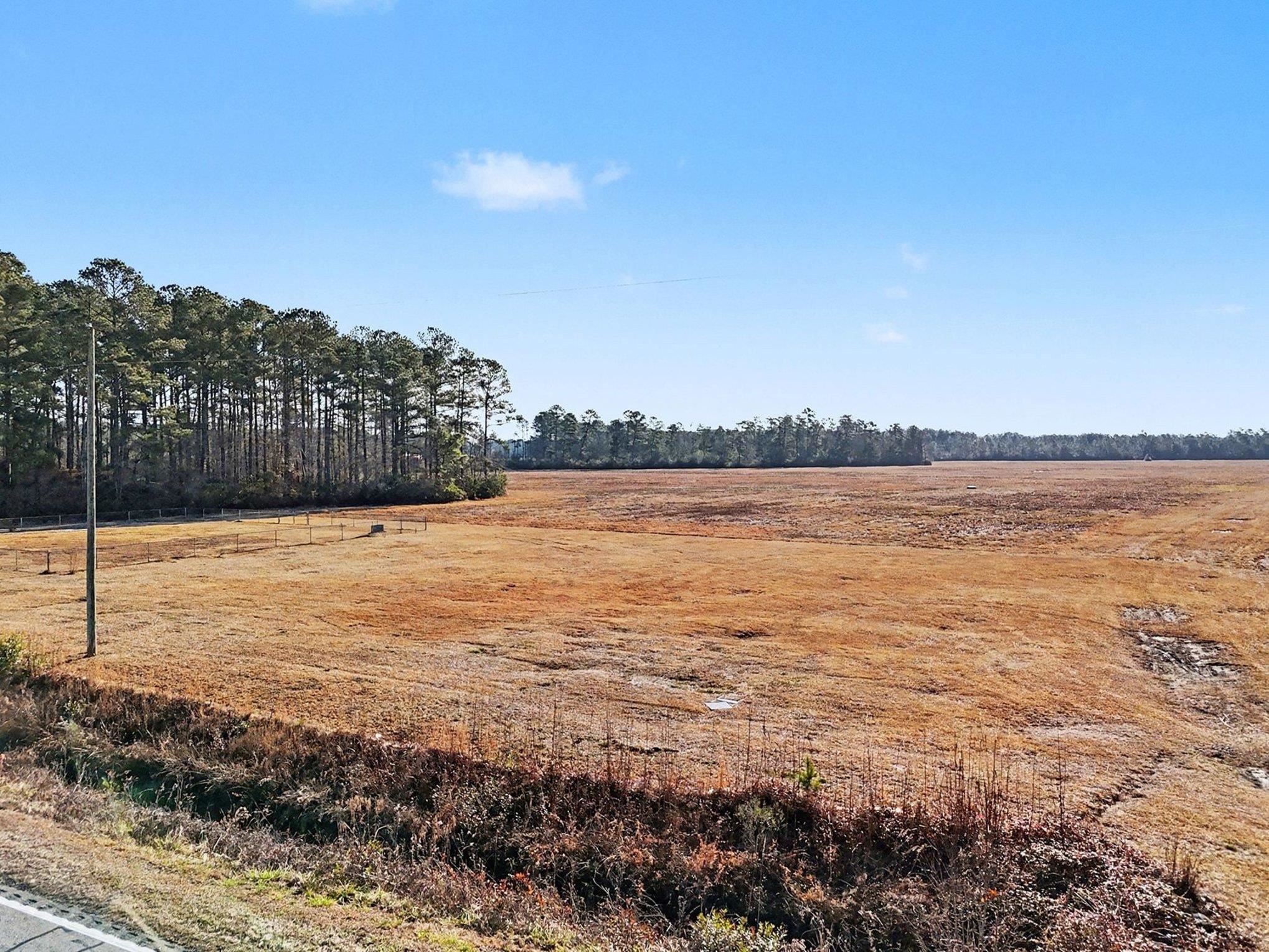 Tbd 87-acres Tbd 87-acres Airport Road Loris, SC 29569 - Photo 17 of 20 View of undeveloped land featuring rural landscape