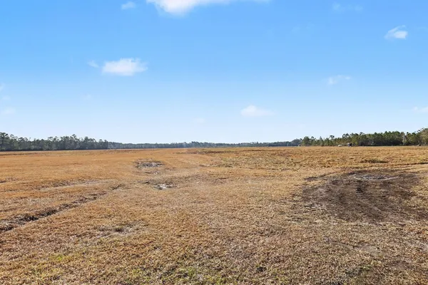 $2,450,000 | Tbd 87-acres Tbd 87-acres Airport Road, Loris, SC 29569