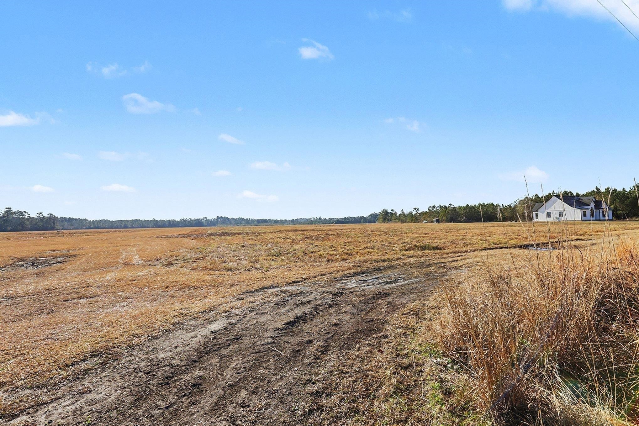 Tbd 87-acres Tbd 87-acres Airport Road Loris, SC 29569 - Photo 19 of 20 View of yard featuring a view of rural / pastoral area