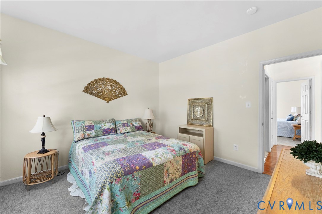 753 Blossom Tree Road Culpeper, VA 22701 - Photo 50 of 68 Neutral wall paint and grey carpet flooring create