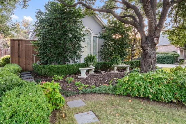 a view of backyard with plants and a large tree