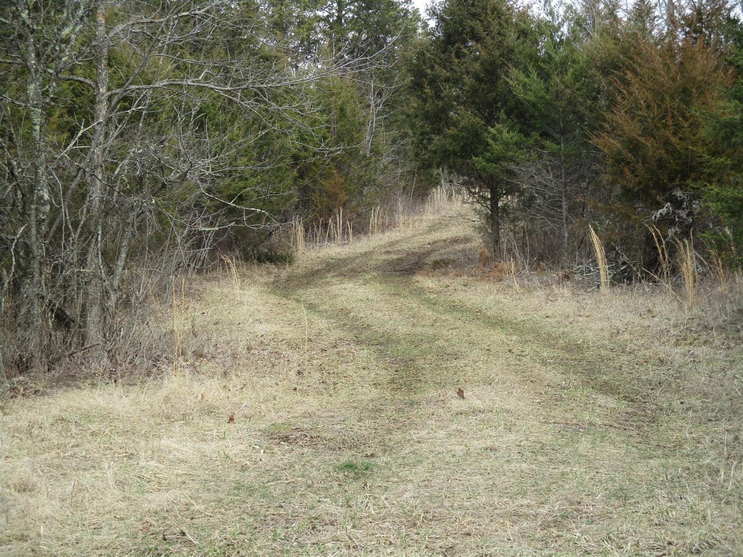 31 Puckett Road Lawrenceburg, KY 40342 - Photo 17 of 18 Photo 17