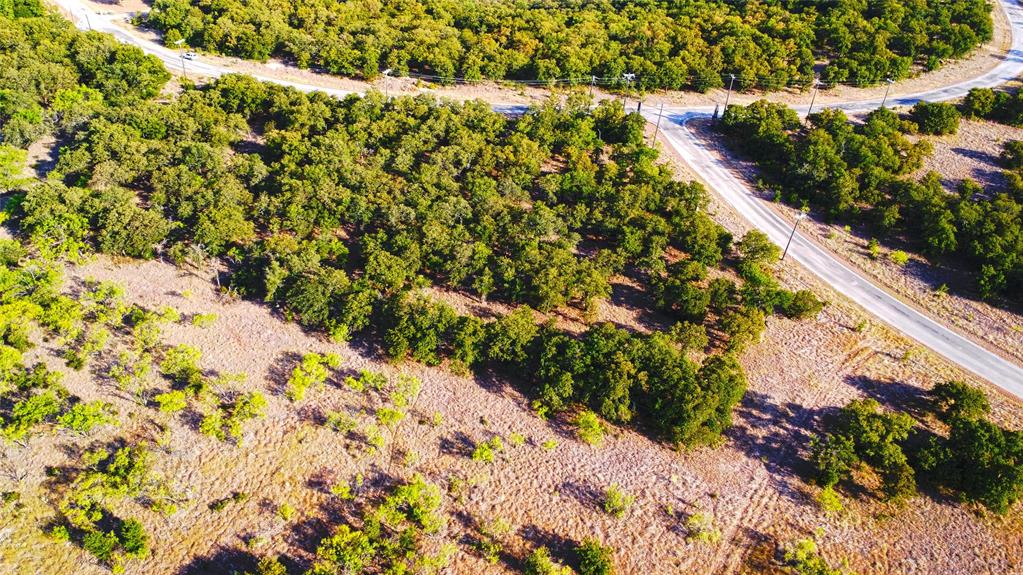 A18 R Post Oak Road Gordon, TX 76453 - Photo 2 of 10 a view of a garden with a tree