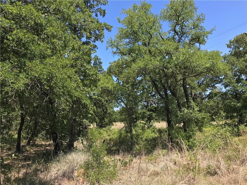 A18 R Post Oak Road Gordon, TX 76453 - Photo 7 of 10 a view of a lush green forest