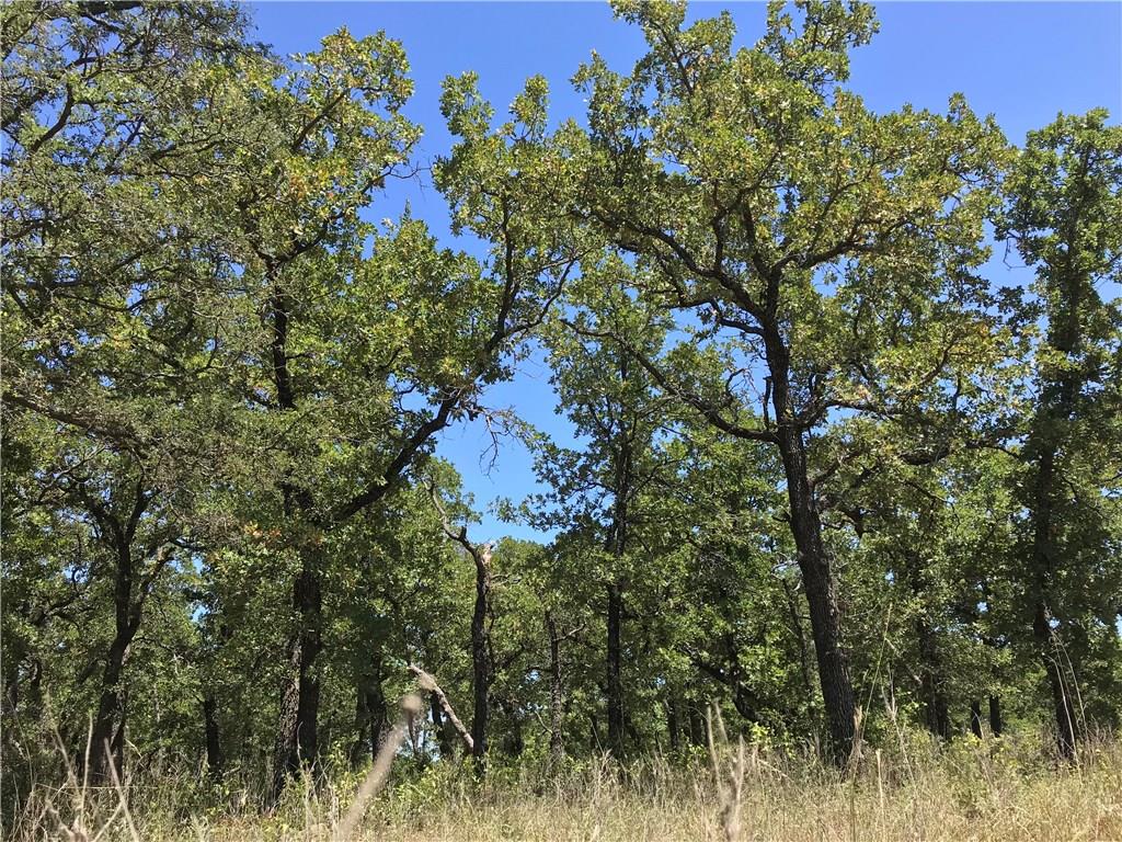 A18 R Post Oak Road Gordon, TX 76453 - Photo 9 of 10