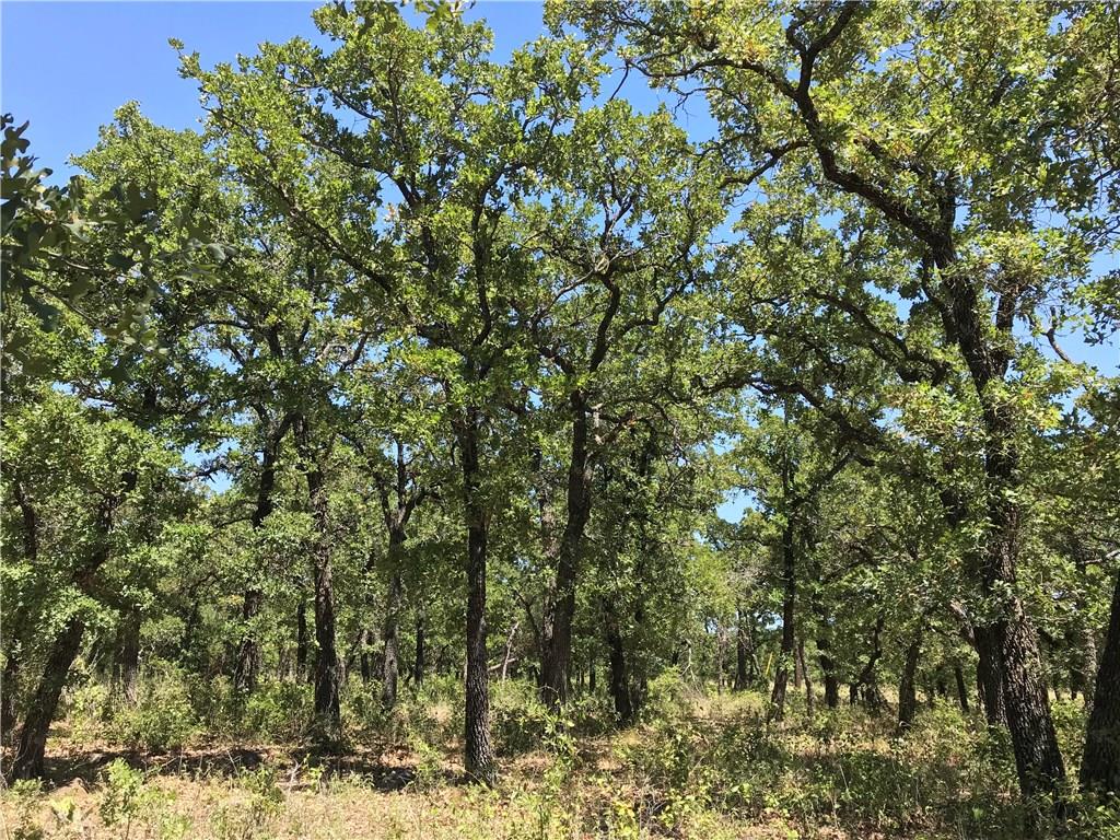 A18 R Post Oak Road Gordon, TX 76453 - Photo 10 of 10 a view of a yard