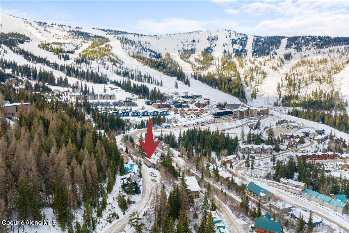 197 Mogul Hill Road, Unit 6 Sandpoint, ID 83864 - Photo 4 of 31 Blue Beetle Condo