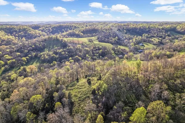 $750,000 | 1624 Bartlett Hollow Road, Petersburg, TN 37144