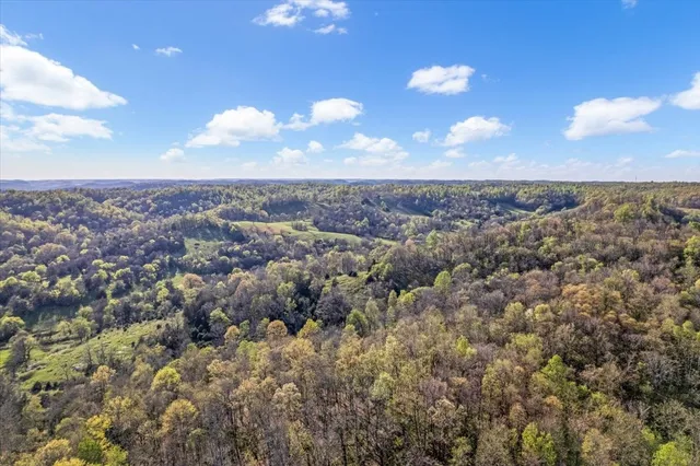 $750,000 | 1624 Bartlett Hollow Road, Petersburg, TN 37144