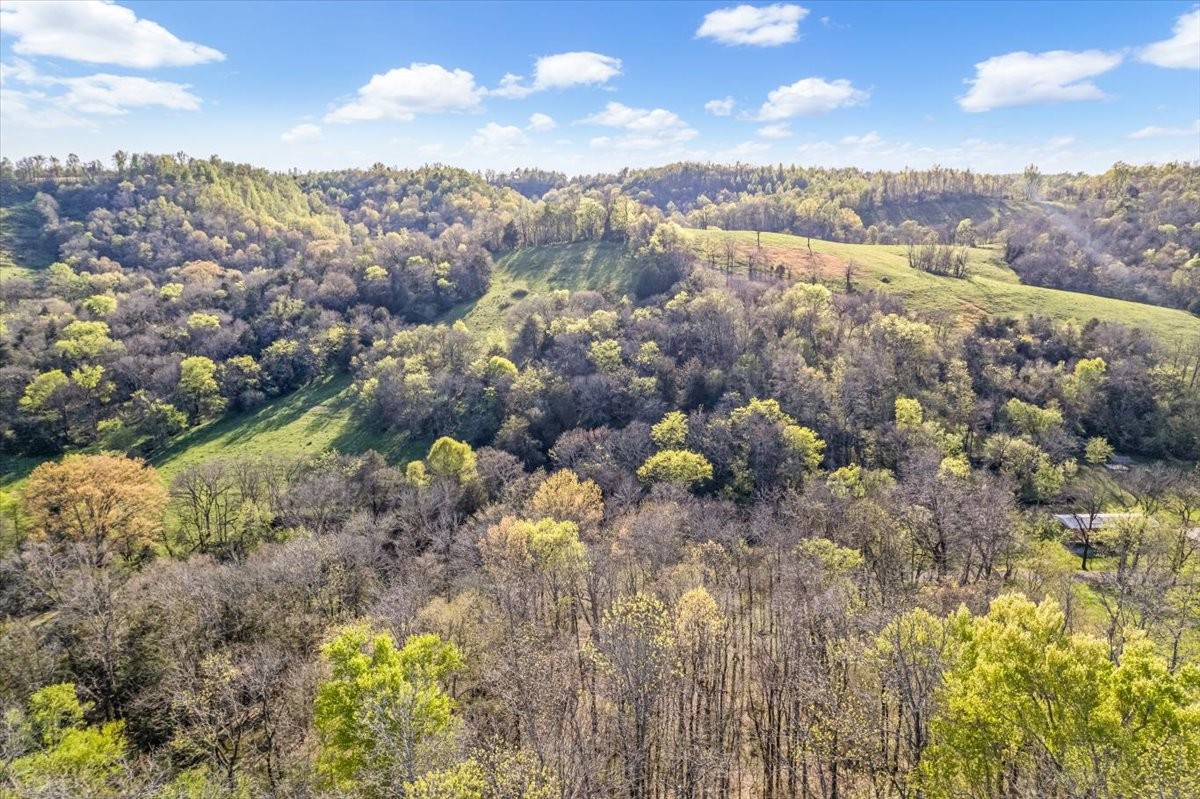 1624 Bartlett Hollow Road Petersburg, TN 37144 - Photo 19 of 27