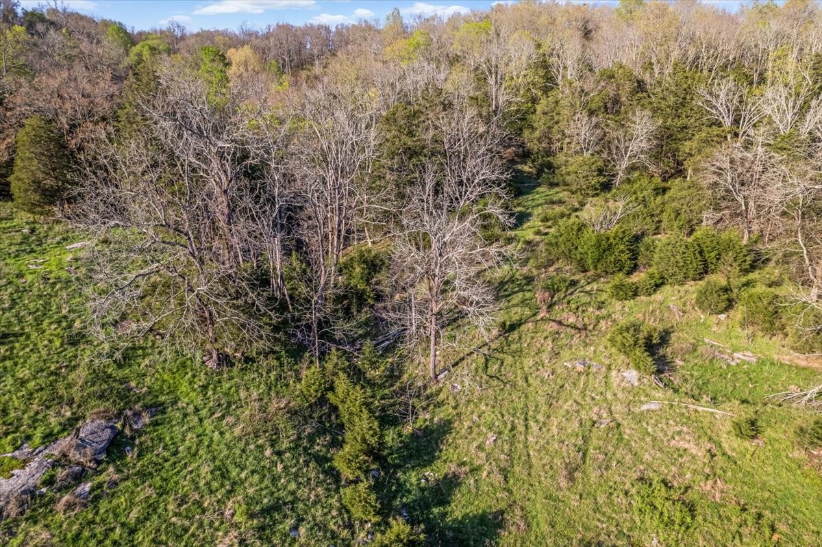 1624 Bartlett Hollow Road Petersburg, TN 37144 - Photo 24 of 27