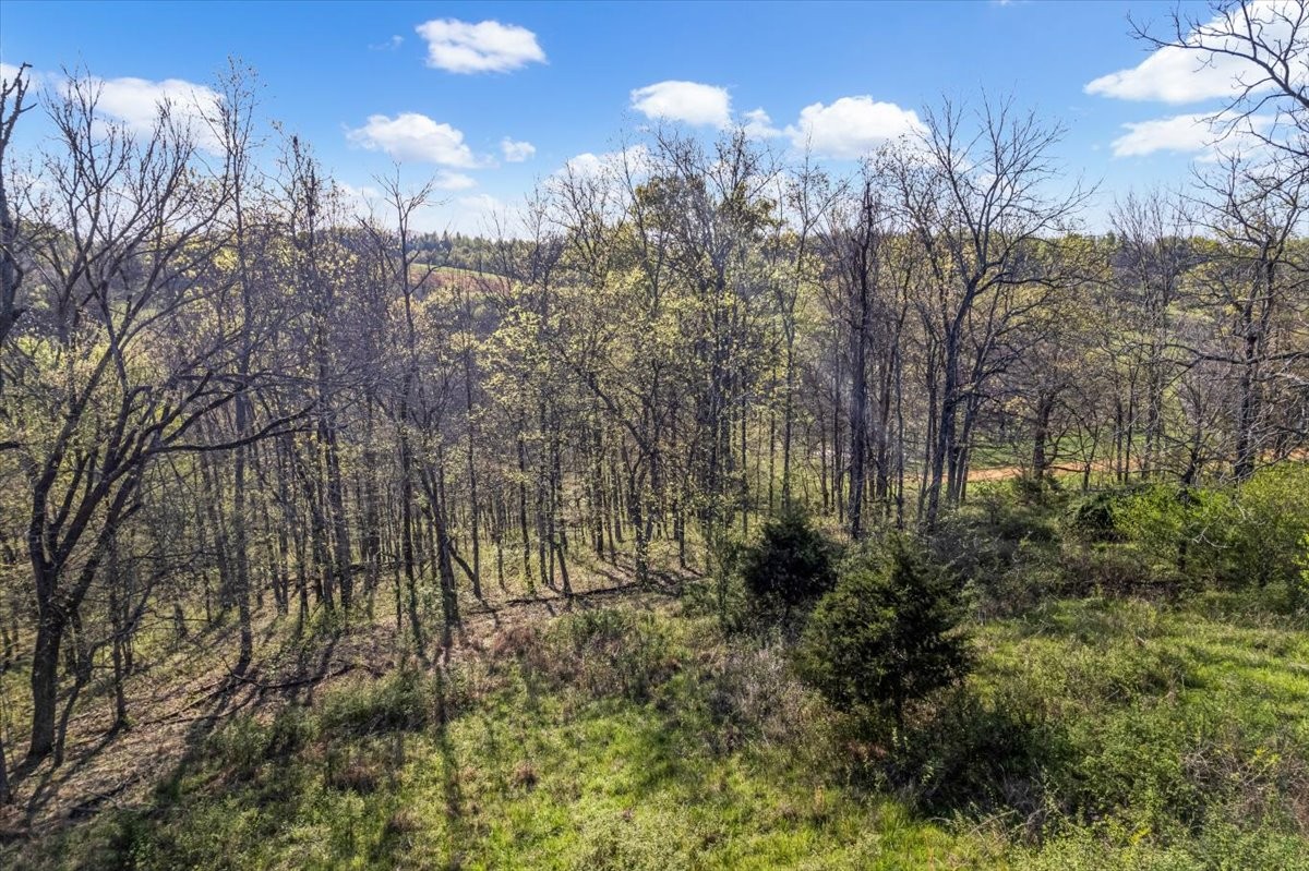 1624 Bartlett Hollow Road Petersburg, TN 37144 - Photo 7 of 27