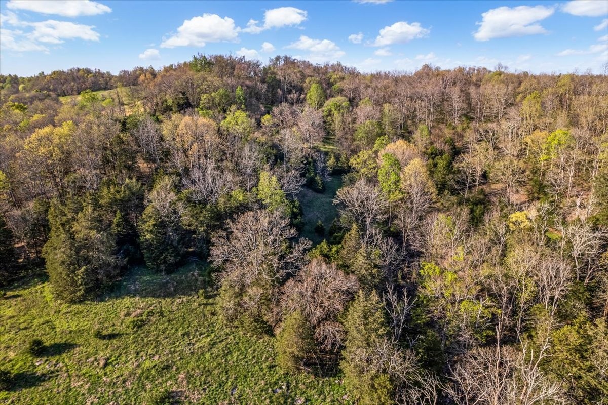 1624 Bartlett Hollow Road Petersburg, TN 37144 - Photo 10 of 27