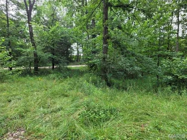 $125,000 | 951 County Road 514, Wappapello, MO 63966