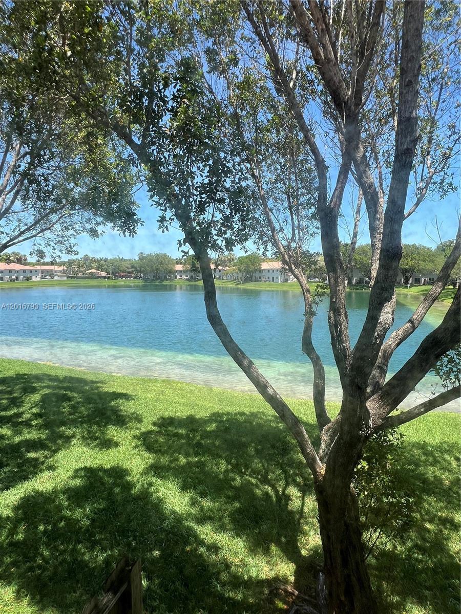 2931 Southeast 12th Road, Unit 20455 Homestead, FL 33035 - Photo 10 of 12 a view of a lake with a yard and large trees
