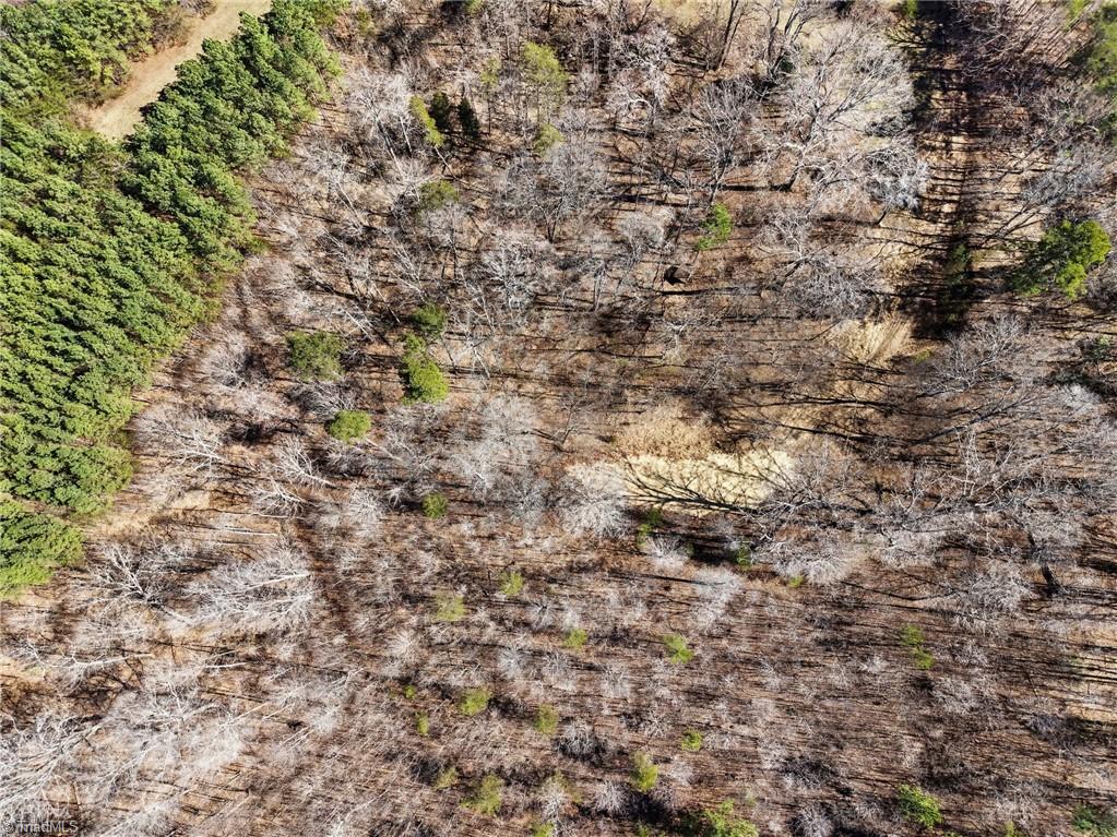 9770 Baux Mountain Road Germanton, NC 27019 - Photo 12 of 17