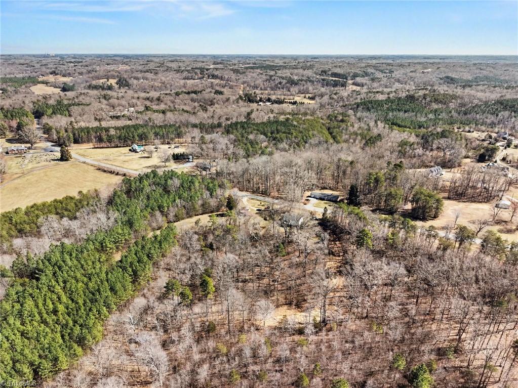 9770 Baux Mountain Road Germanton, NC 27019 - Photo 13 of 17