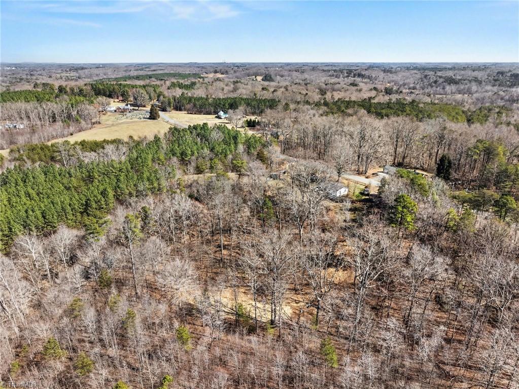 9770 Baux Mountain Road Germanton, NC 27019 - Photo 14 of 17