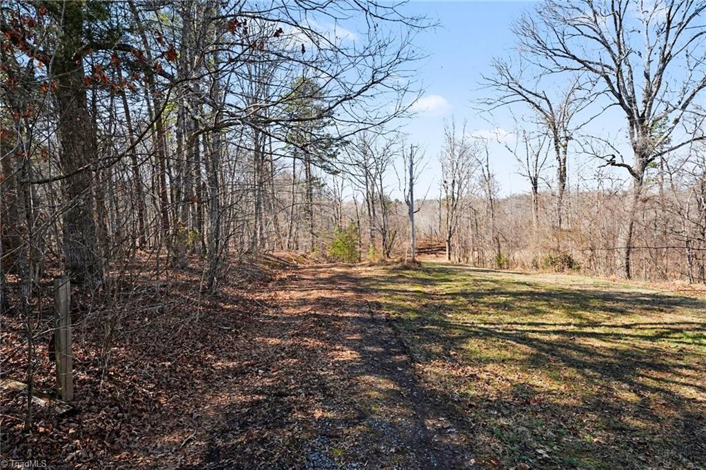 9770 Baux Mountain Road Germanton, NC 27019 - Photo 2 of 17
