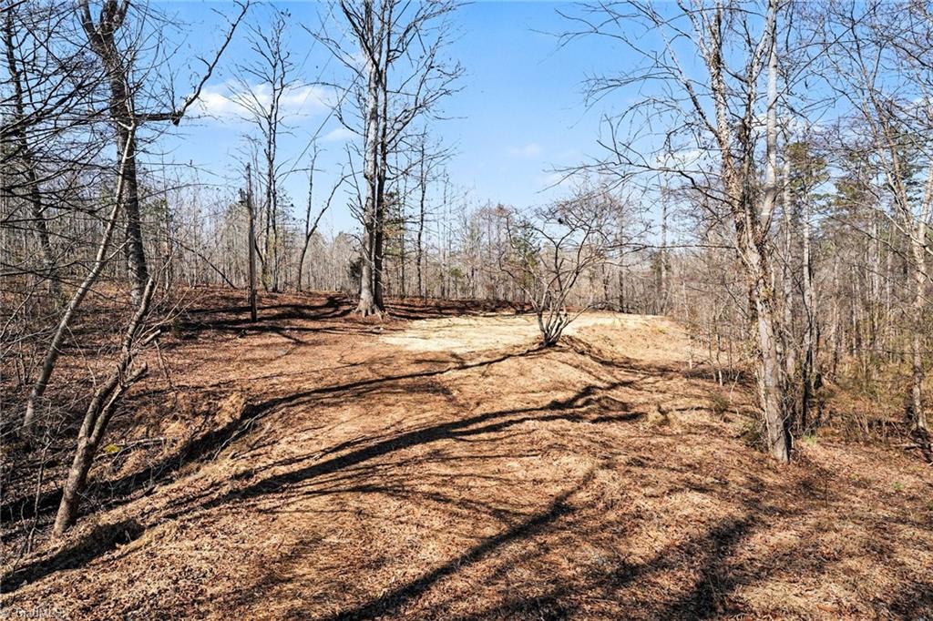 9770 Baux Mountain Road Germanton, NC 27019 - Photo 3 of 17