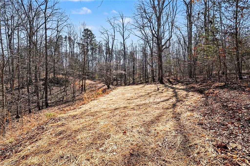 9770 Baux Mountain Road Germanton, NC 27019 - Photo 4 of 17