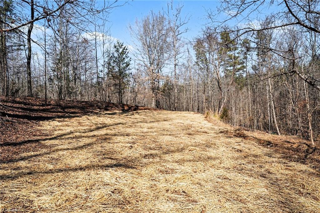 9770 Baux Mountain Road Germanton, NC 27019 - Photo 5 of 17