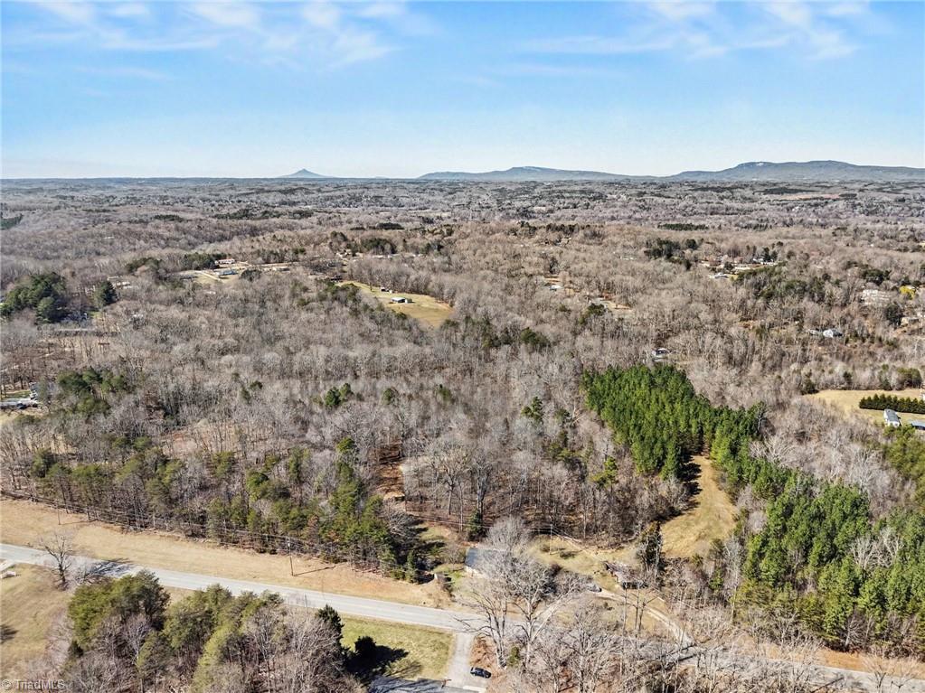 9770 Baux Mountain Road Germanton, NC 27019 - Photo 9 of 17