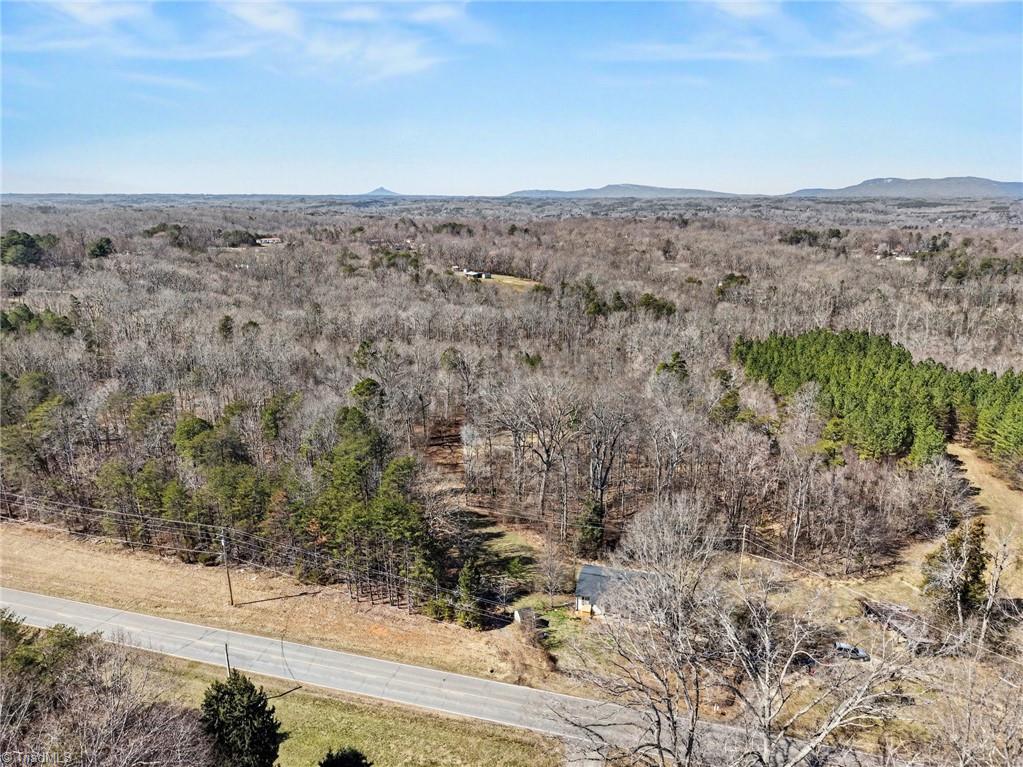 9770 Baux Mountain Road Germanton, NC 27019 - Photo 10 of 17